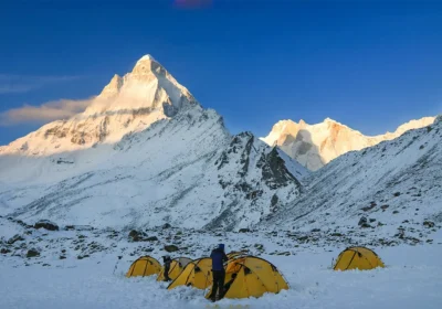 Gaumukh Tapovan Trek