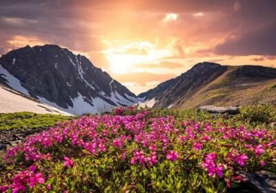 Valley of Flowers Trek