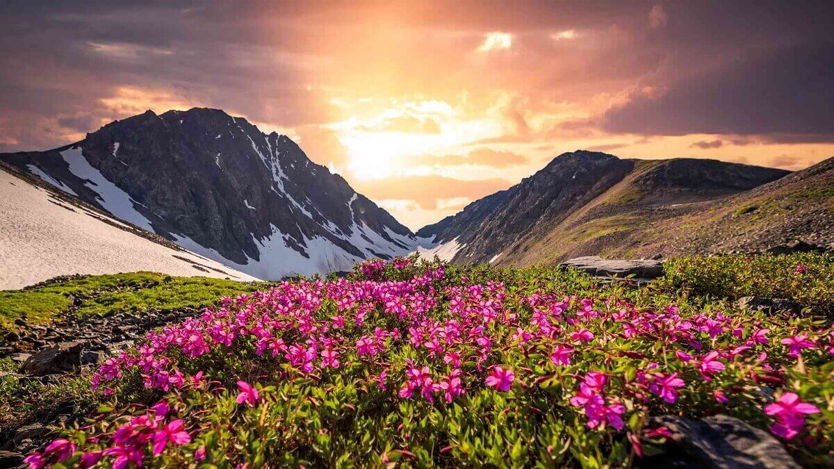 Valley Of Flowers With Badrinath Tour