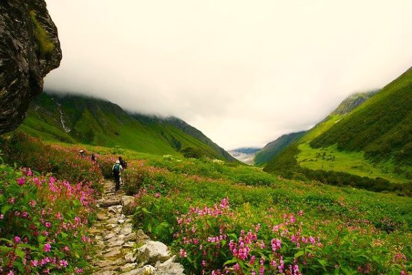 Valley Of Flowers4 Qh6iyss4zt6eyxm2pr7qm1q4yq7jntesbqbx9rgjhc